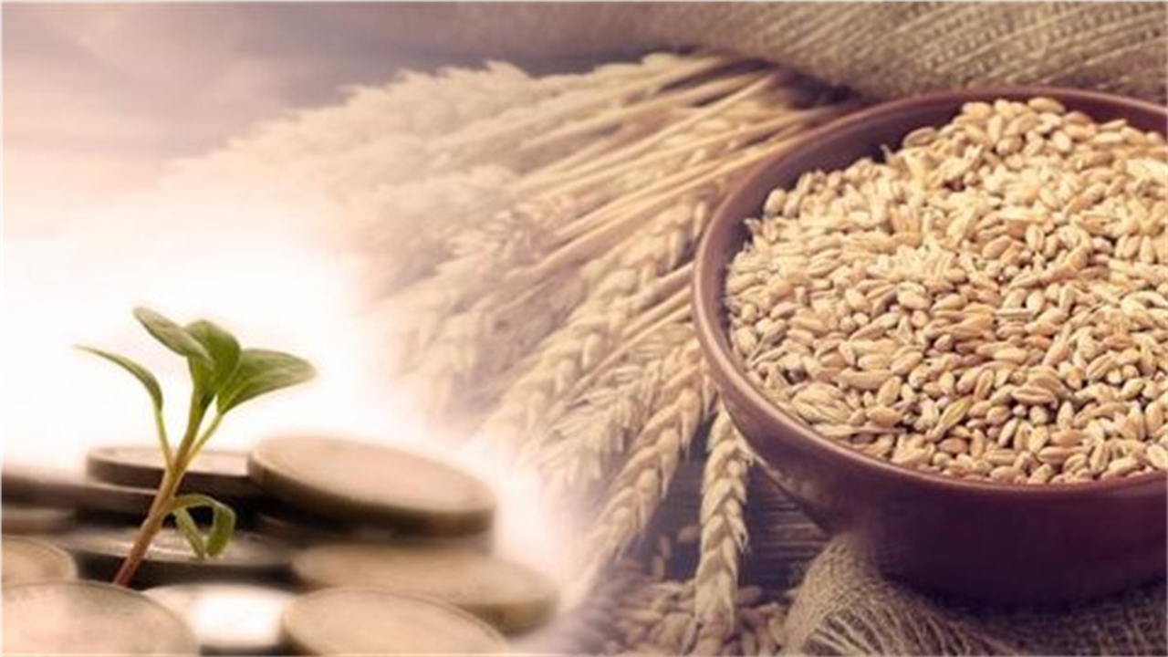 تحديد قيمة زكاة الفطر وموعد إخراجها للمسلمين في مصر حسب بيان دار الإفتاء